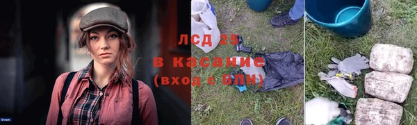 a pvp Верея