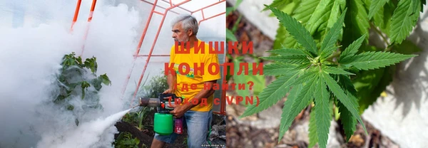 ГАЛЛЮЦИНОГЕННЫЕ ГРИБЫ Верхнеуральск