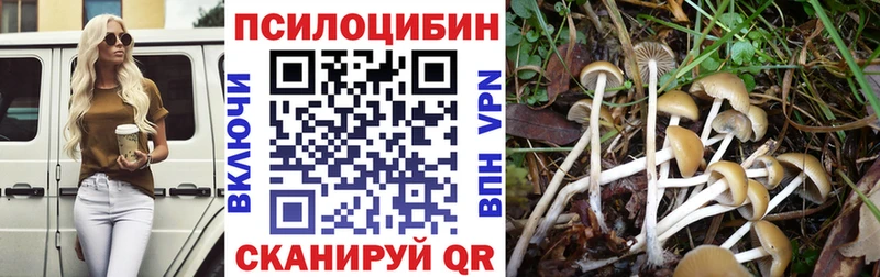 Галлюциногенные грибы Psilocybe  наркота  Магнитогорск 