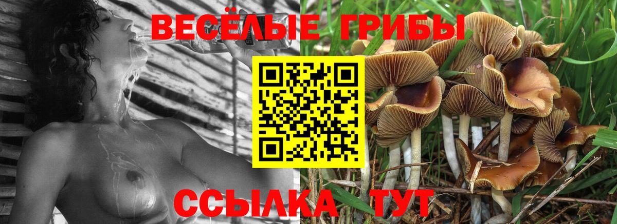 Магнитогорск  цены   Вход с VPN  Псилоцибиновые грибы MAGIC MUSHROOMS 